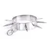 RVS Spiked Collar Van Kiotos Steel -C&B Toys Verkoopwinkel 112 tms 0104 01 1