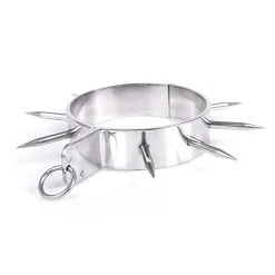 RVS Spiked Collar Van Kiotos Steel