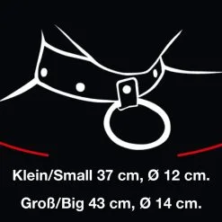 Stalen Hoog Gepolijste BDSM Collar Van Bad Kitty -C&B Toys Verkoopwinkel 20900076111 size 1