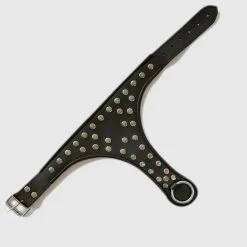 Saxos BDSM Toys Volleder Slave Collar Met O Ring En Studs By Saxos -C&B Toys Verkoopwinkel collar outside open 1