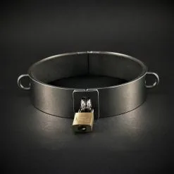 Lust Und Liebe Hooggepolijste 2 Mm Edelstalen Halsband Met D-ringen Van Lust & Liebe