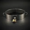 Lust Und Liebe Hooggepolijste 2 Mm Edelstalen Halsband Met D-ringen Van Lust & Liebe -C&B Toys Verkoopwinkel halsband mit d ringen