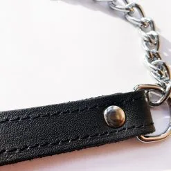 Saxos BDSM Toys Willy Leash - Echt Lederen Penisriem Aan Stalen Ketting -C&B Toys Verkoopwinkel leather willy leash detail 1