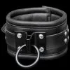 Saxos BDSM Toys Halsband Met Geslaste Ring Van Saxos -C&B Toys Verkoopwinkel os 0112 1 leather collar with welded ring 4019