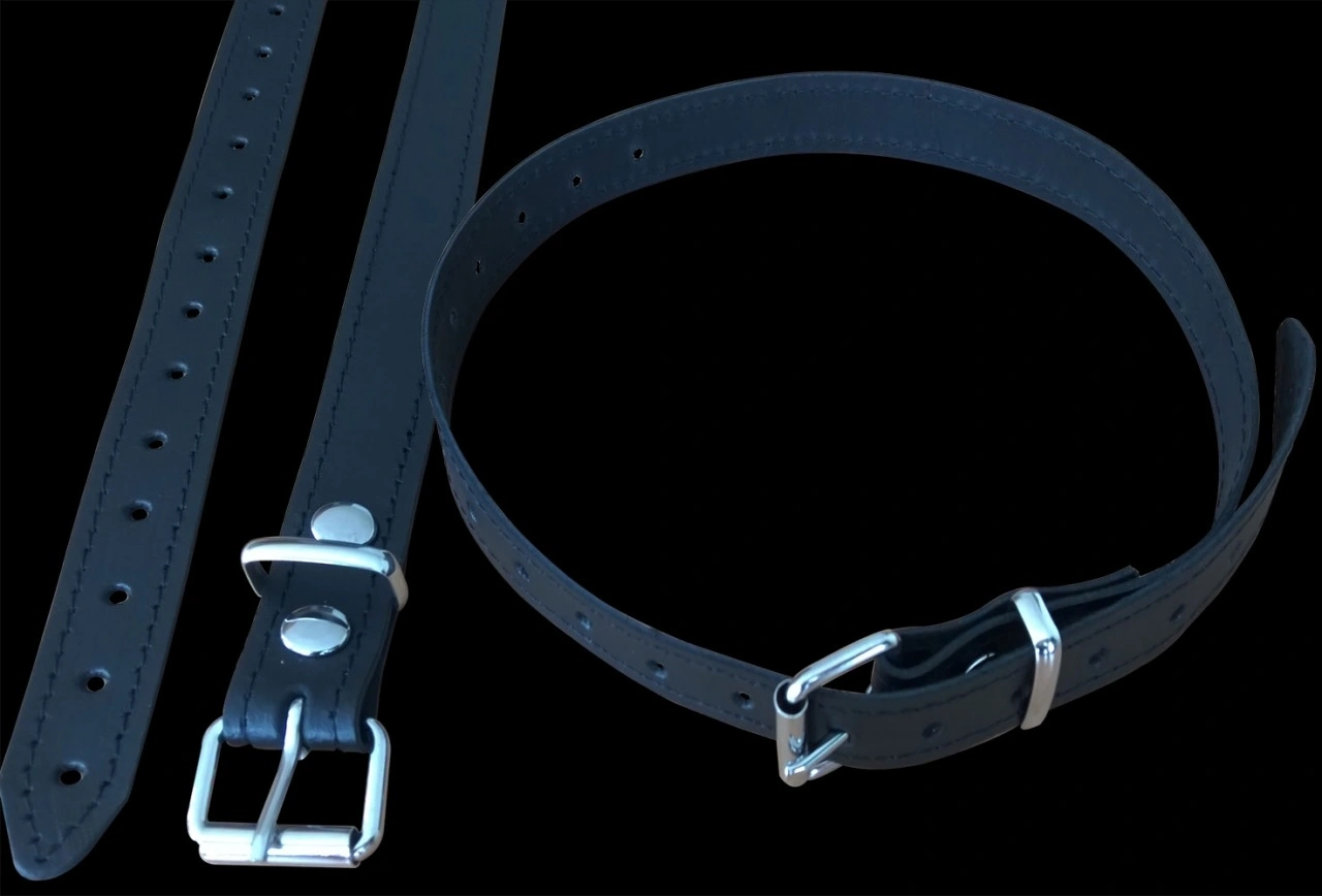 Saxos BDSM Toys Smalle Zwarte Lederen Collar Van Saxos 6 Saxos BDSM Toys Smalle Zwarte Lederen Collar Van Saxos - Afbeelding 4